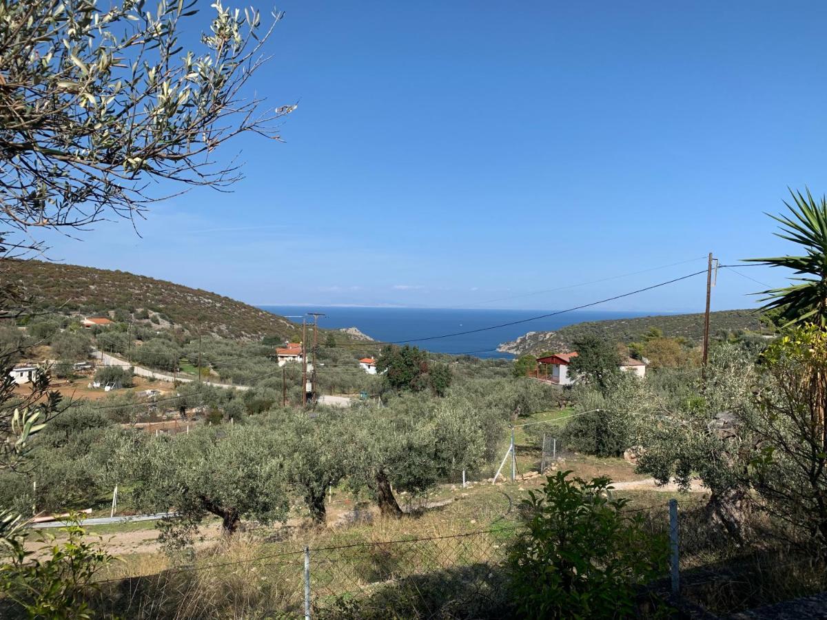 Olive Hill Private House Villa Poros Town Bagian luar foto