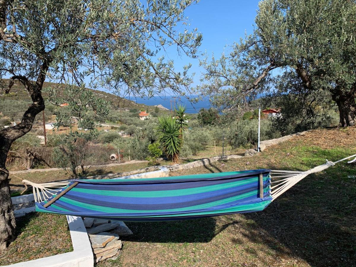 Olive Hill Private House Villa Poros Town Bagian luar foto