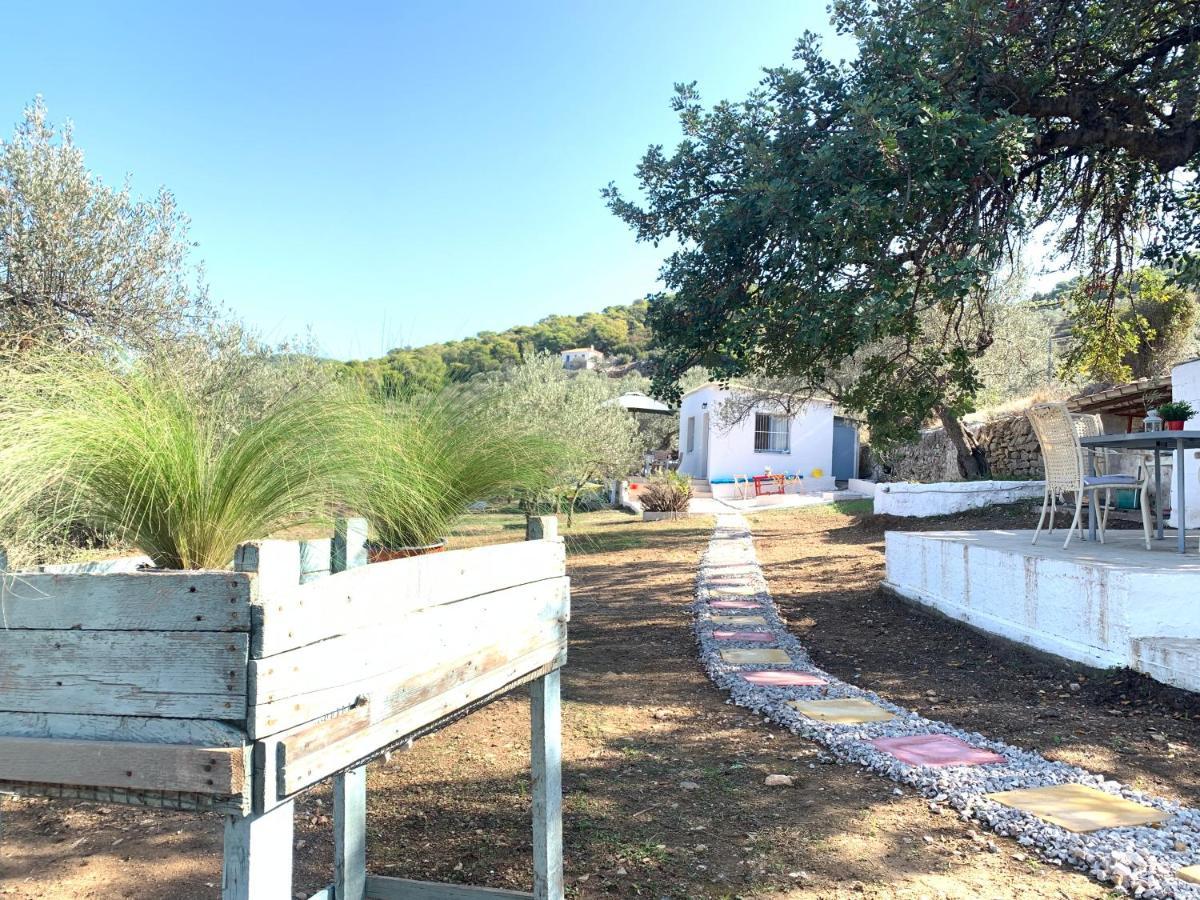 Olive Hill Private House Villa Poros Town Bagian luar foto