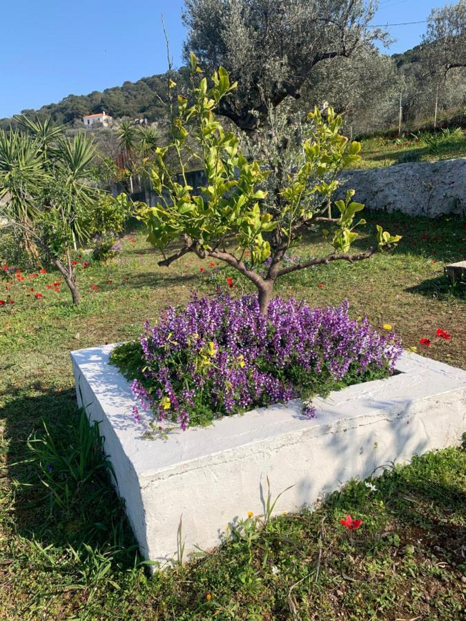 Olive Hill Private House Villa Poros Town Bagian luar foto