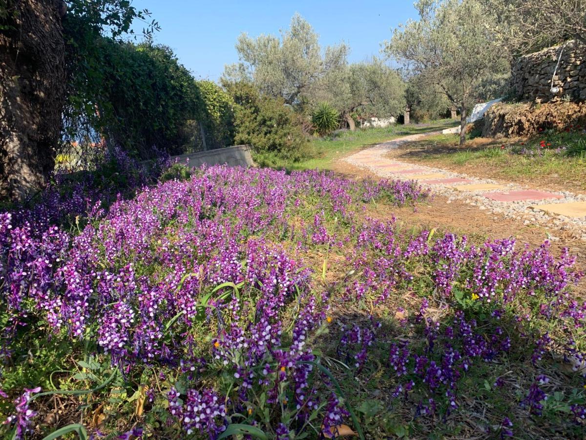 Olive Hill Private House Villa Poros Town Bagian luar foto
